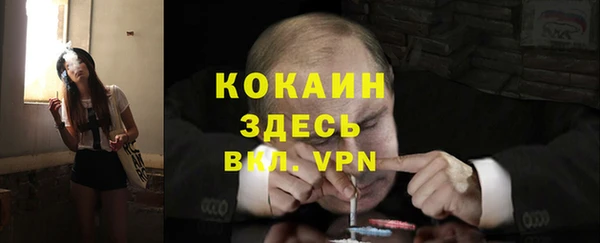 прущие крисы Аркадак