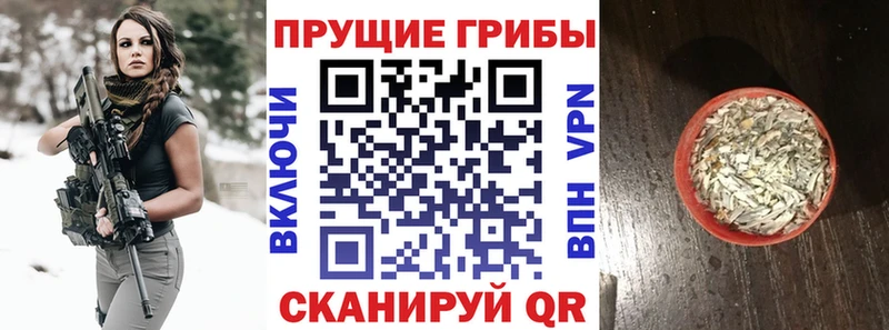 kraken ONION  нарко площадка как зайти  Псилоцибиновые грибы мухоморы  как найти наркотики  Джанкой 